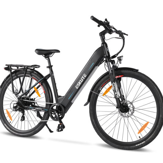 Polluno Electric City Bike